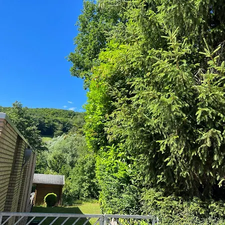 Gaestehaus Zum Buchenweg Penzion Hasenfeld