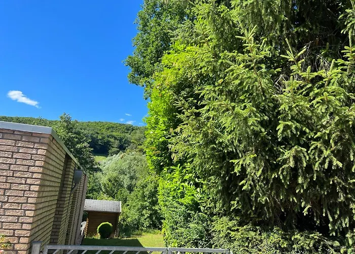 Gaestehaus Zum Buchenweg Konukevi Hasenfeld