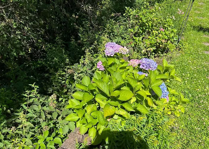 Penzion Gaestehaus Zum Buchenweg